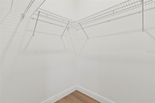 spacious closet featuring hardwood / wood-style flooring