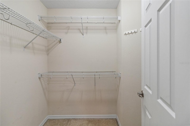 spacious closet with carpet flooring