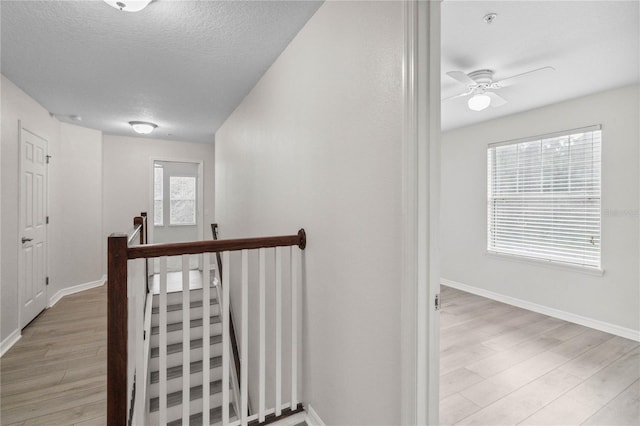 corridor featuring plenty of natural light, a textured ceiling, and light wood-type flooring