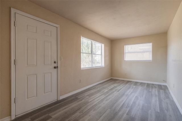 entrance foyer featuring hardwood / wood-style floors