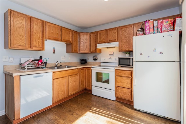 kitchen with dark hardwood / wood-style flooring, sink, and white appliances