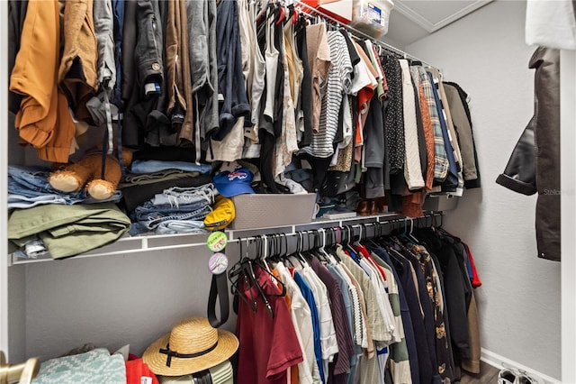 view of walk in closet