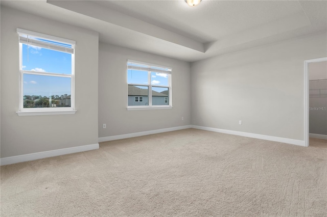 unfurnished room featuring carpet flooring and a raised ceiling