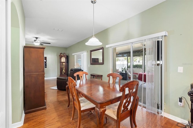 dining area with ceiling fan and hardwood / wood-style floors