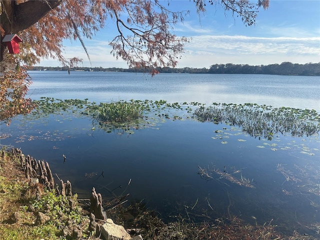 property view of water