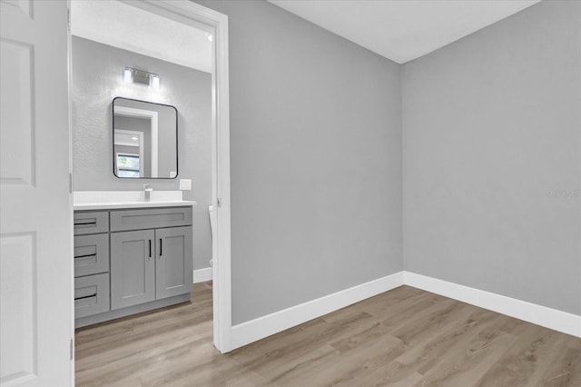 bathroom with wood-type flooring and vanity