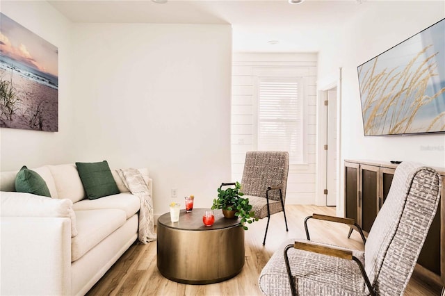 living room with wood-type flooring