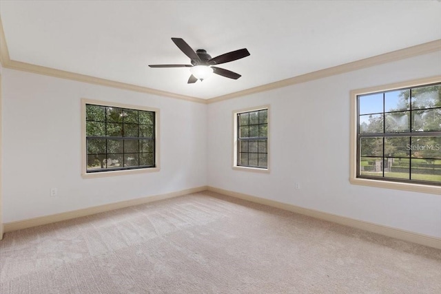 carpeted empty room featuring ceiling fan and ornamental molding