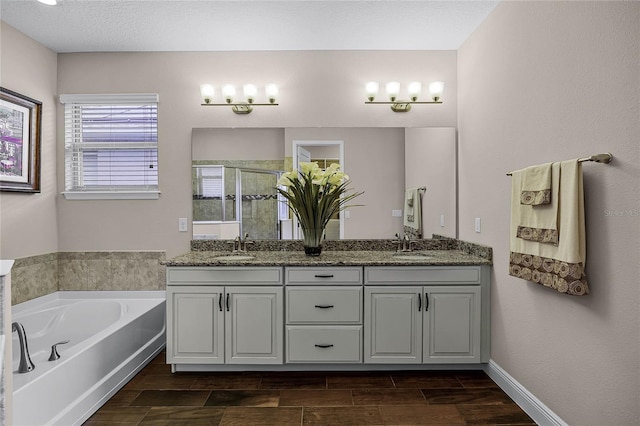 bathroom featuring vanity and independent shower and bath