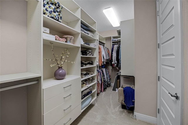 walk in closet with light carpet