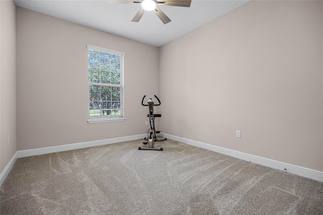 workout room featuring carpet floors and ceiling fan