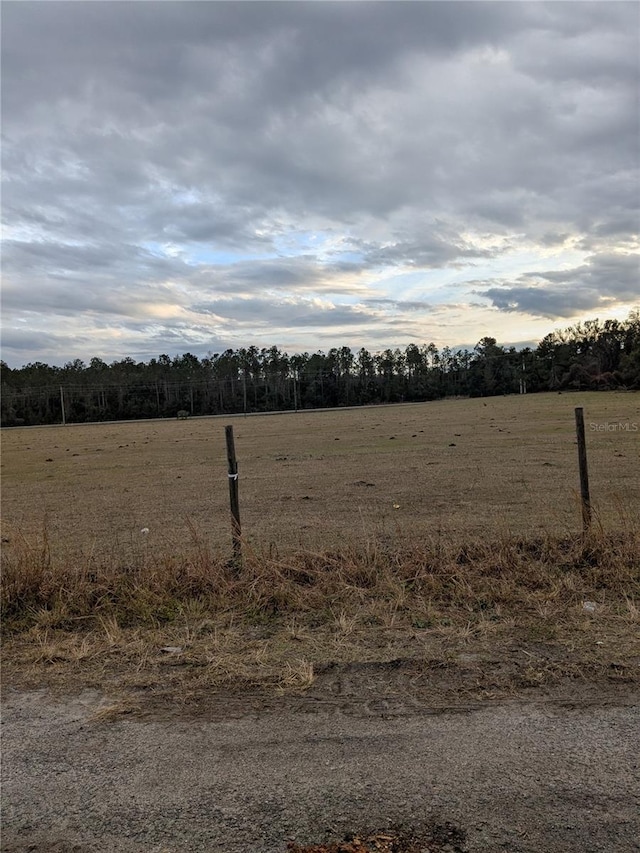 view of yard with a rural view