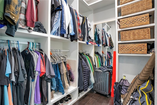 walk in closet with dark hardwood / wood-style floors