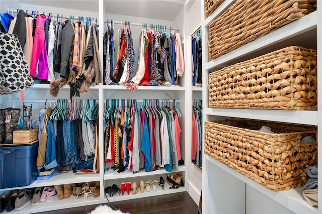 view of spacious closet