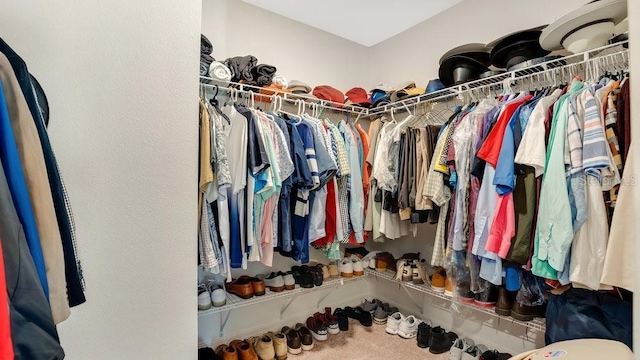 spacious closet featuring carpet floors