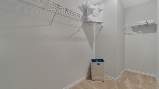 spacious closet featuring carpet floors