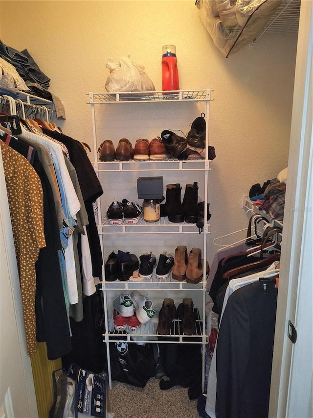 spacious closet with carpet floors