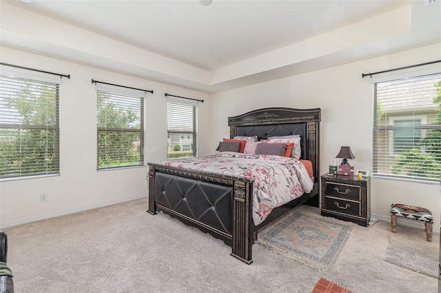 bedroom featuring a raised ceiling and carpet floors