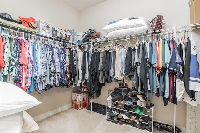 spacious closet featuring carpet