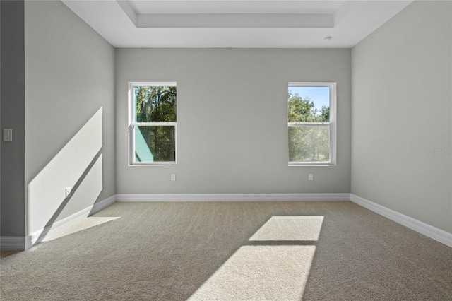 carpeted spare room with a raised ceiling