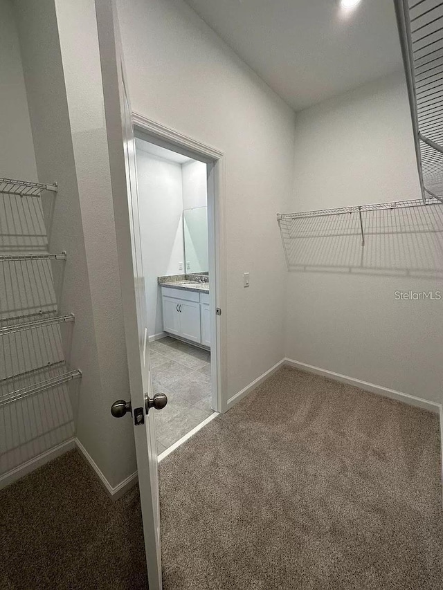 walk in closet with light colored carpet