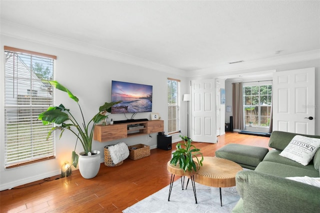 living room with light wood-type flooring, a wealth of natural light, and crown molding