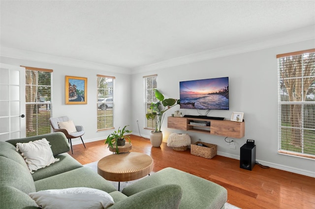 living room with crown molding and hardwood / wood-style flooring