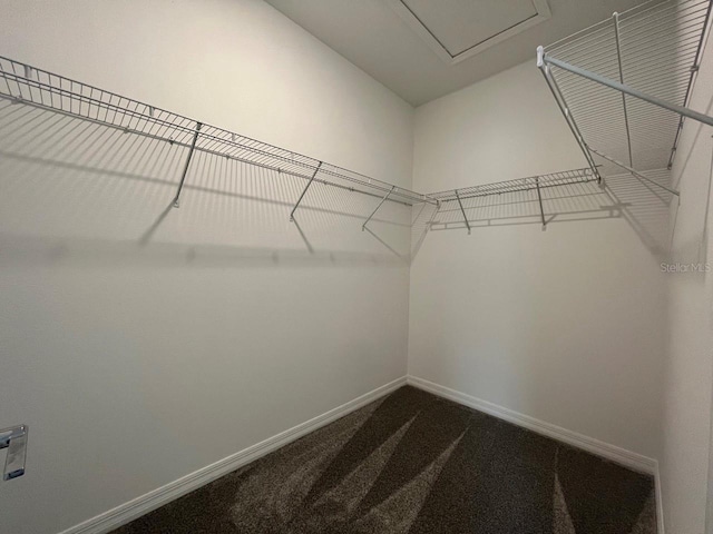 walk in closet featuring carpet