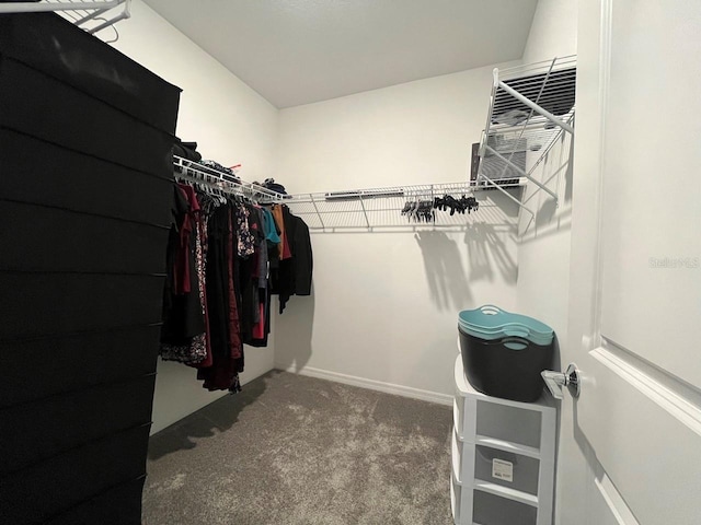 spacious closet with carpet floors