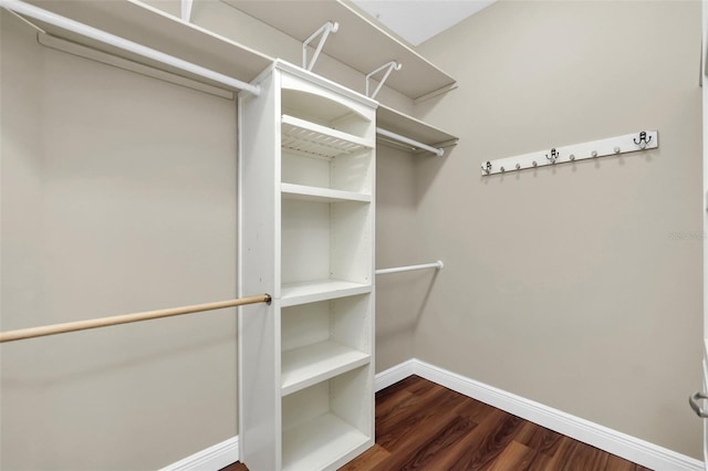 spacious closet with dark hardwood / wood-style floors