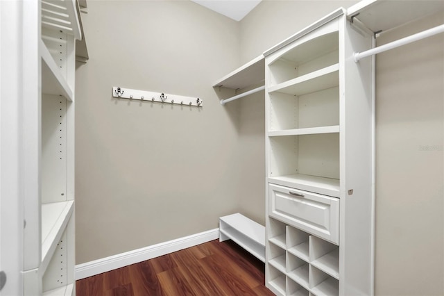 spacious closet with dark hardwood / wood-style flooring