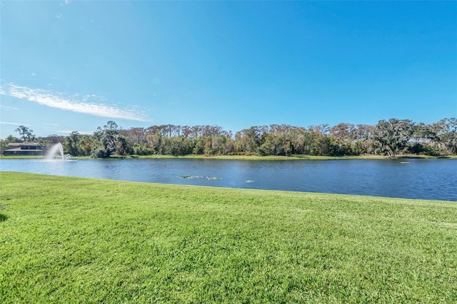 property view of water