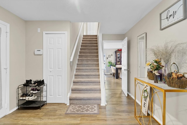 staircase with hardwood / wood-style floors