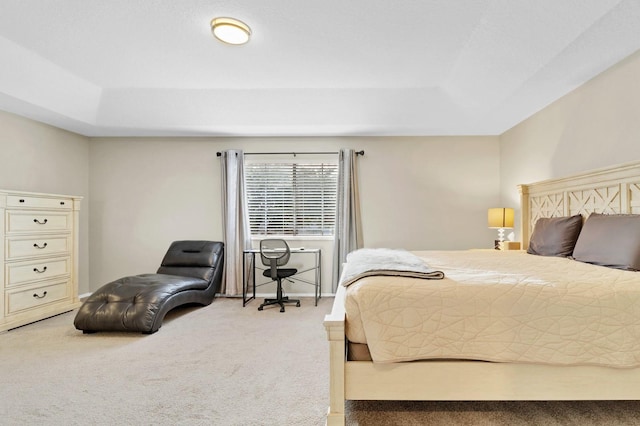 bedroom with carpet and a tray ceiling