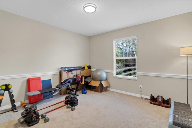 workout area featuring carpet flooring