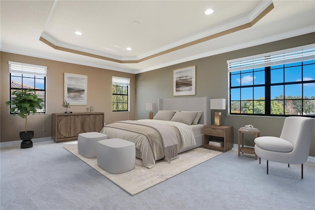 carpeted bedroom featuring crown molding and a raised ceiling