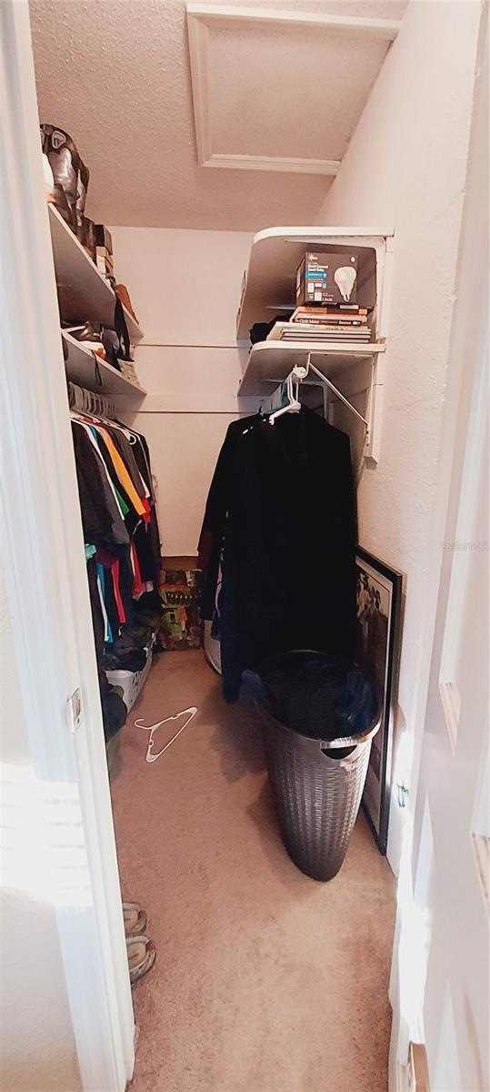 spacious closet with attic access and carpet flooring