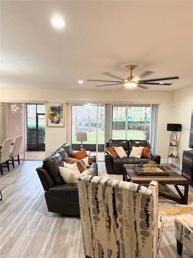 living room with light wood-type flooring and ceiling fan