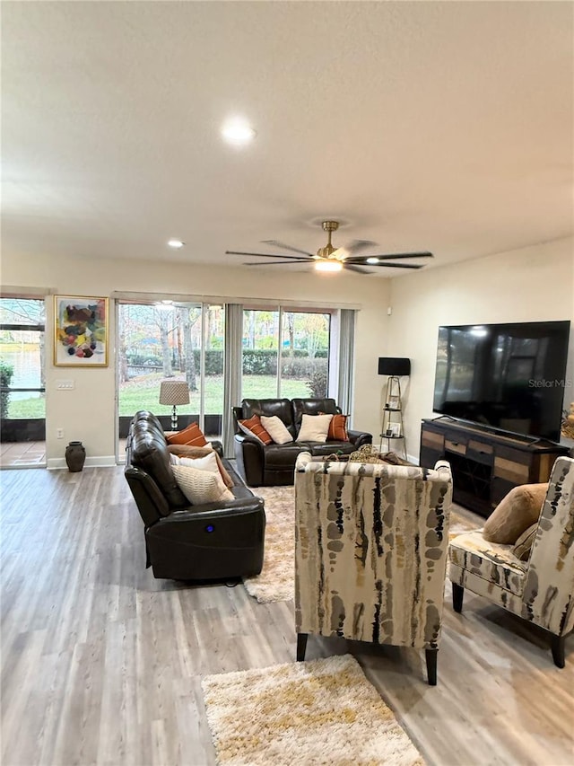 living room featuring ceiling fan and light wood-type flooring