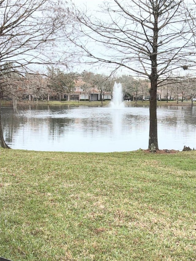 view of water feature