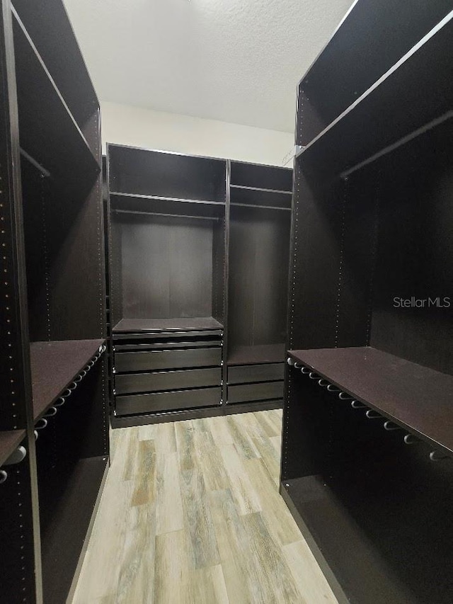 walk in closet with light wood-type flooring