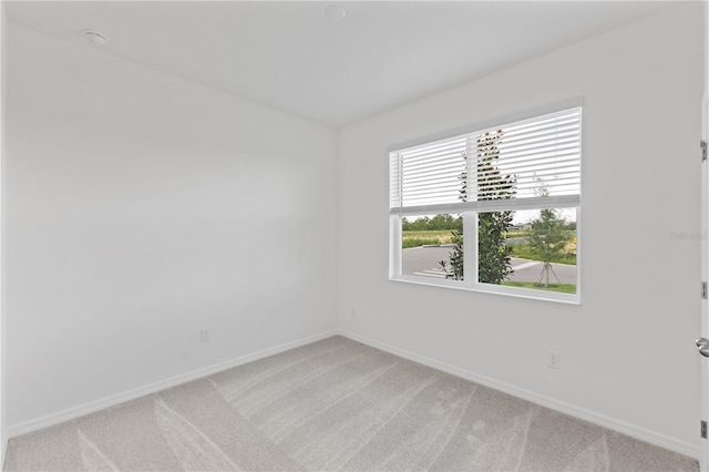 1343 Foran Manor Rd, Haines City, FL 33844 - spare room with light colored carpet