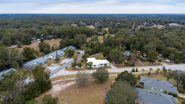 bird's eye view