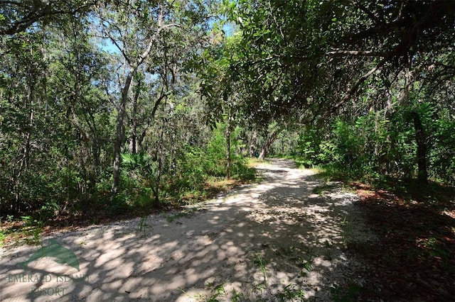 view of road