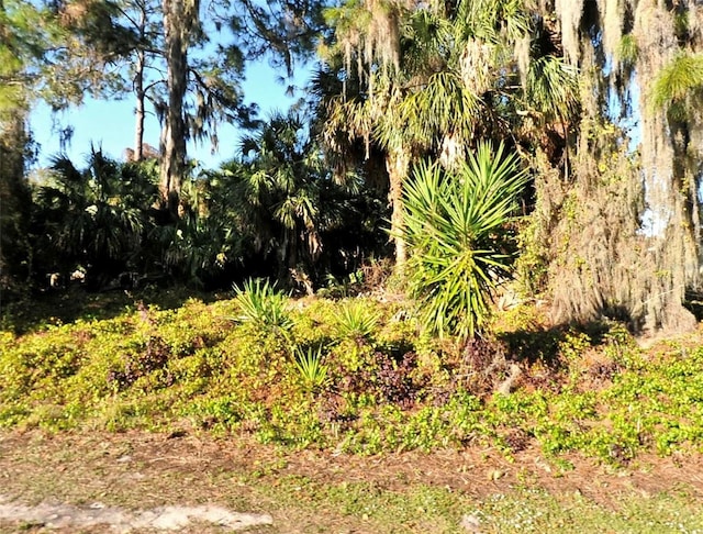 LOT20 Tusket Ave, North Port FL, 34286 land for sale