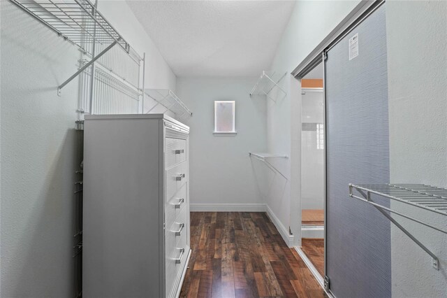 spacious closet with dark wood-type flooring