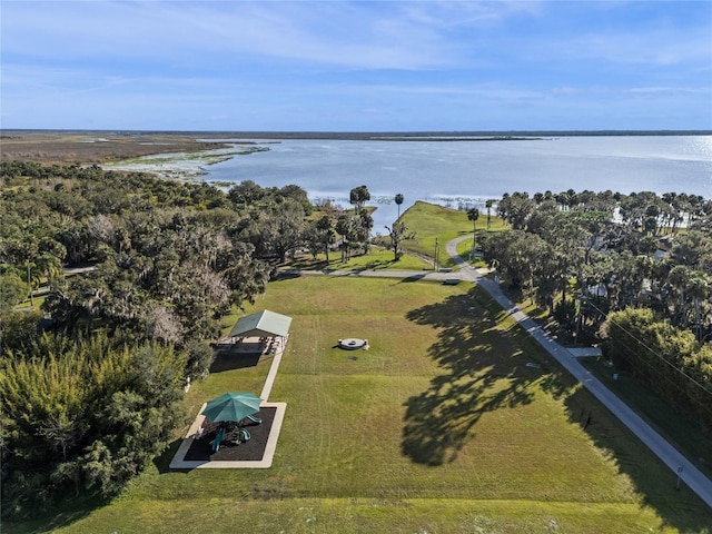 aerial view with a water view