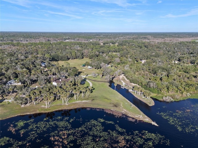 bird's eye view featuring a water view and a view of trees