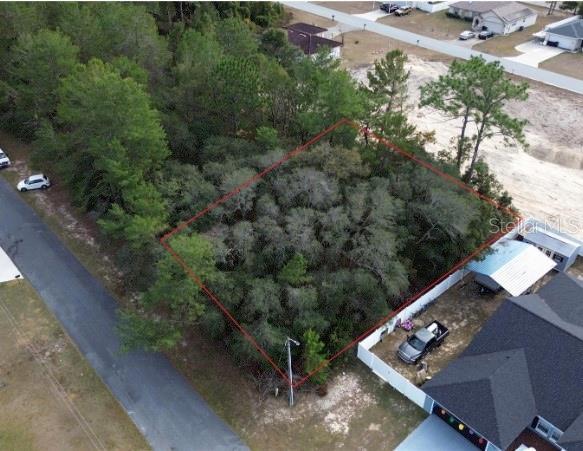 SW 151 St Pl, Ocala FL, 34473 land for sale