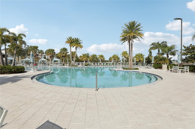 view of pool with a patio area